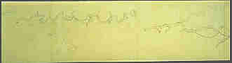 0D0083700000000050601.jpg