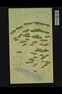 0D008910000000000.jpg
