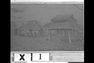 北海道大学北方資料データベース