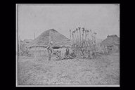 北海道大学北方資料データベース