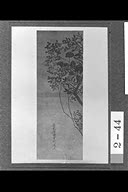 0B036890000000002.jpg