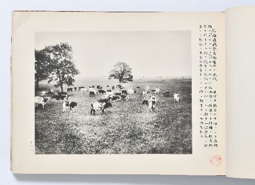 0B054060010066000.jpg