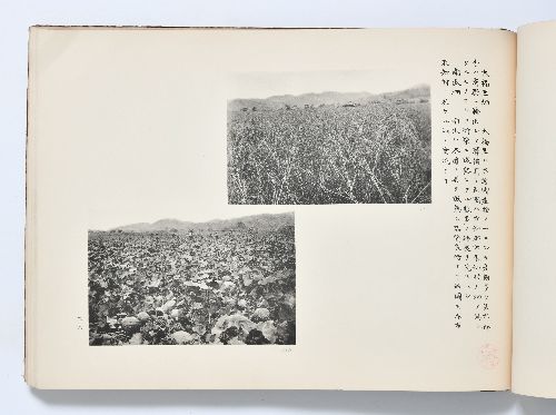 0B054060010084000.jpg