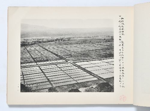 0B054060020044000.jpg