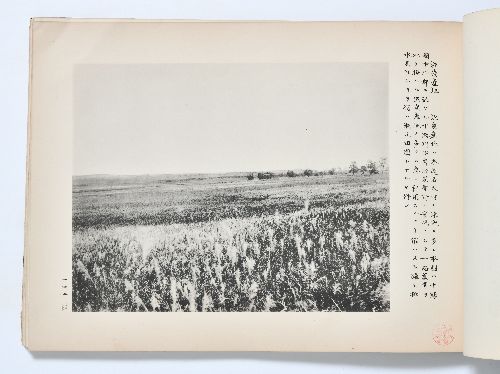 0B054060020056000.jpg