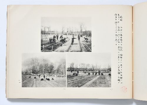 0B054060020085000.jpg