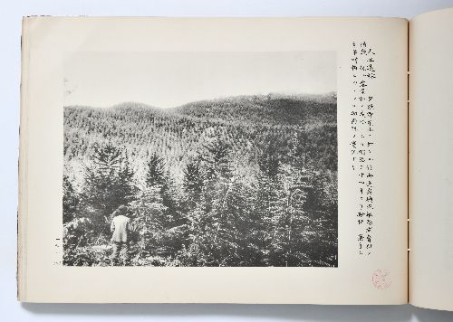 0B054060020086000.jpg