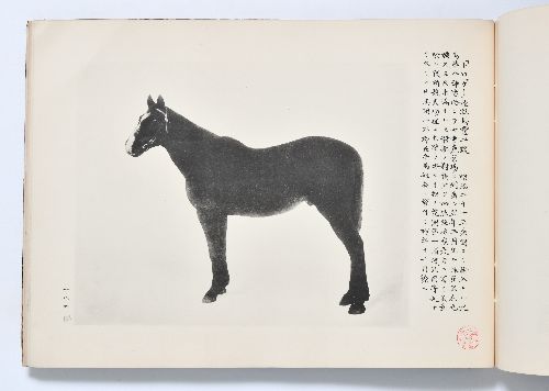 0B054060020098000.jpg