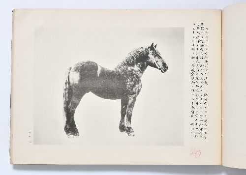 0B054060020100000.jpg