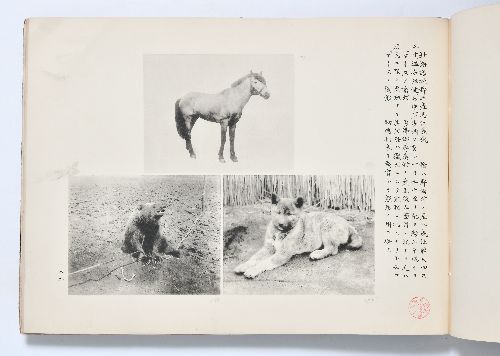0B054060020103000.jpg
