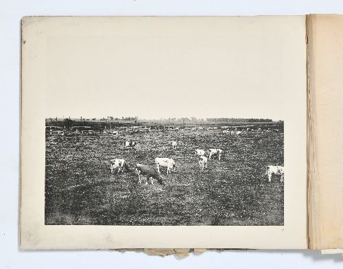 0B054100000011000.jpg