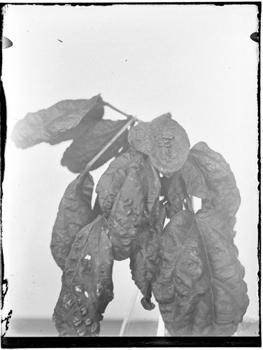 0I004560000000000.jpg