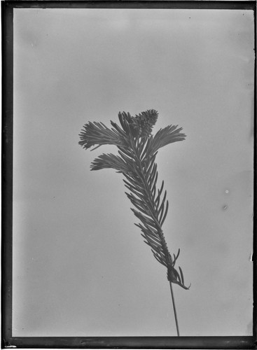 0I004670000000000.jpg